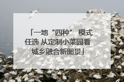 一地“四种” 模式任选 从定制小菜园看城乡融合新图景